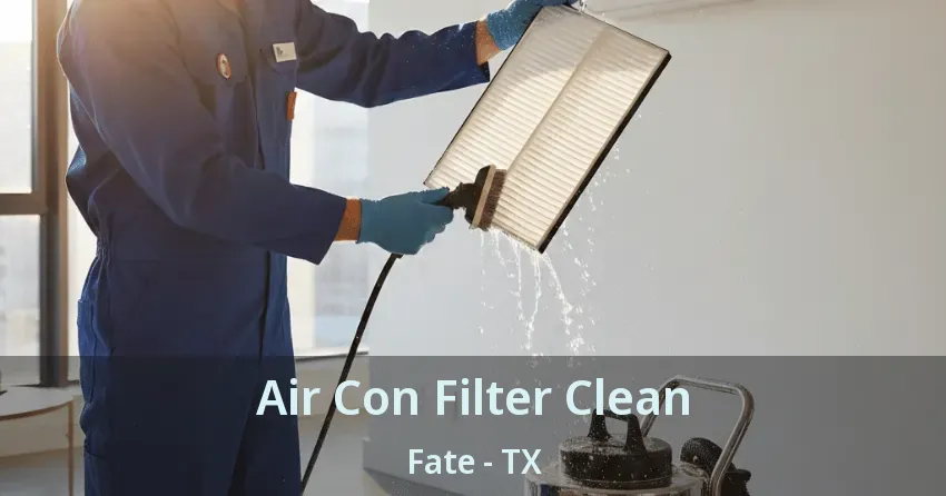 Air Con Filter Clean Fate - TX