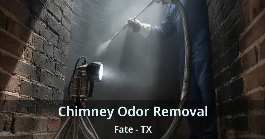 Chimney Odor Removal Fate - TX