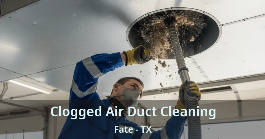 Clogged Air Duct Cleaning Fate - TX