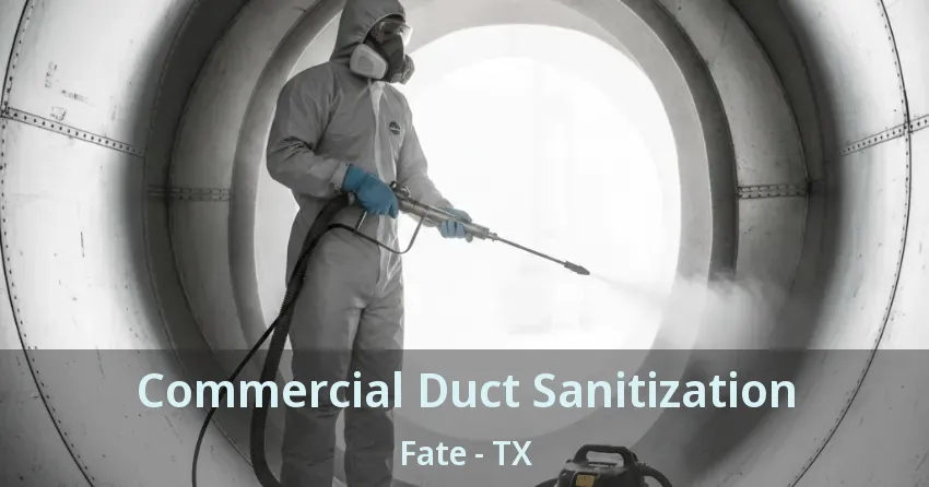 Commercial Duct Sanitization Fate - TX