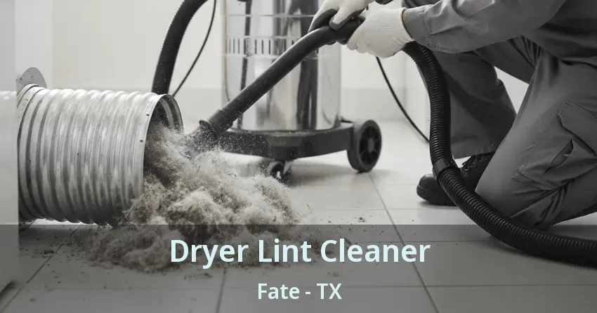 Dryer Lint Cleaner Fate - TX