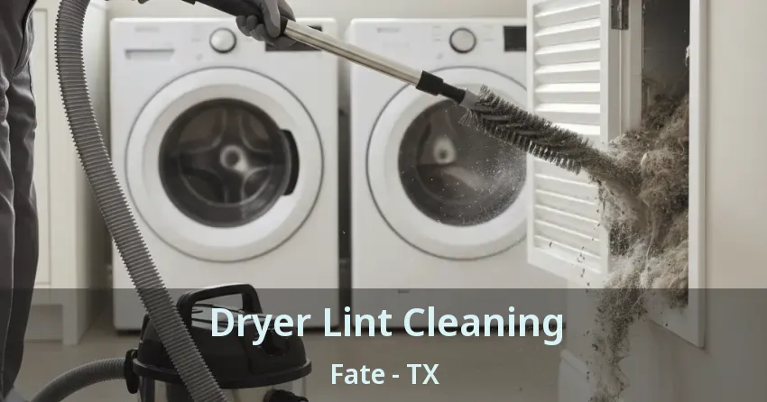 Dryer Lint Cleaning Fate - TX