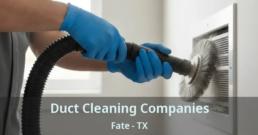 Duct Cleaning Companies Fate - TX