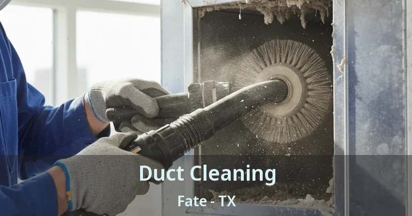 Duct Cleaning Fate - TX