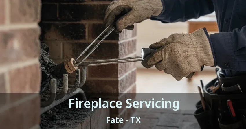 Fireplace Servicing Fate - TX
