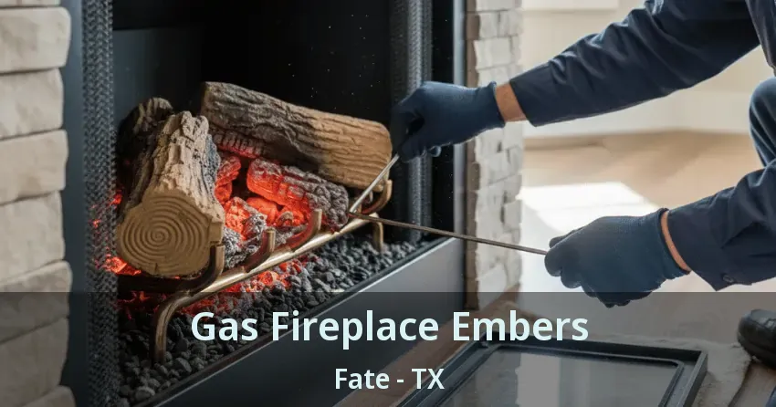 Gas Fireplace Embers Fate - TX