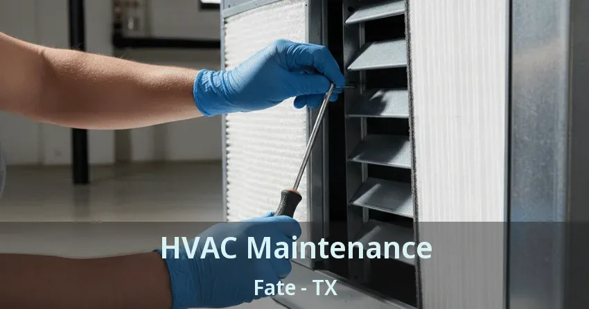 HVAC Maintenance Fate - TX