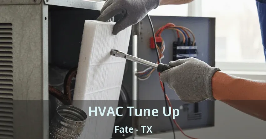HVAC Tune Up Fate - TX