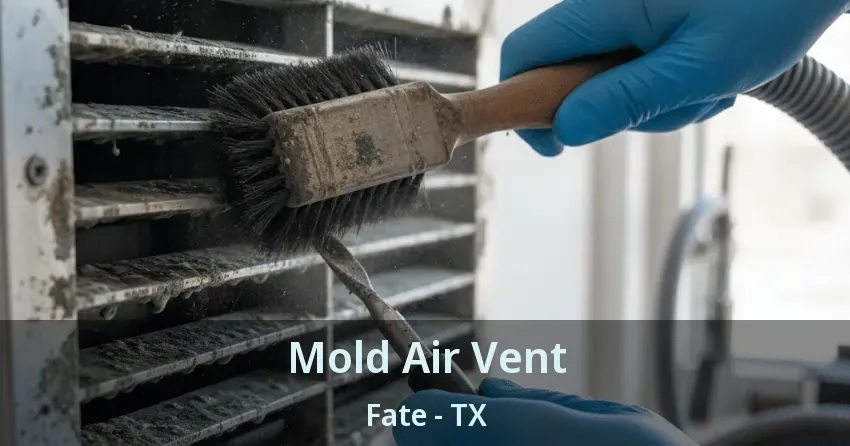 Mold Air Vent Fate - TX