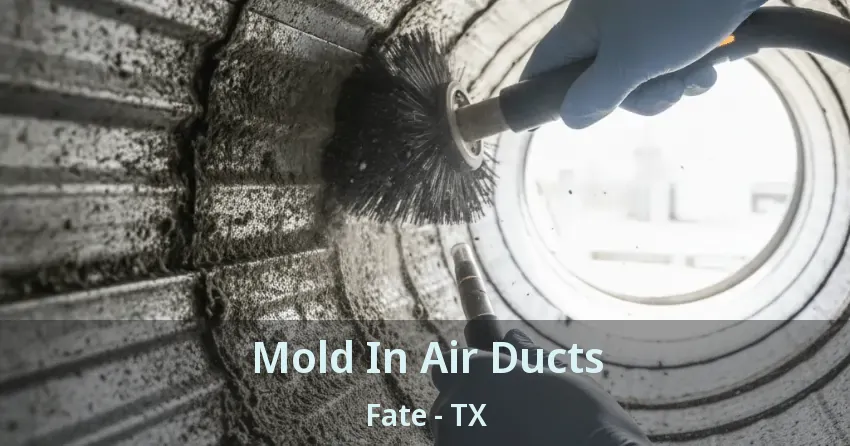Mold In Air Ducts Fate - TX