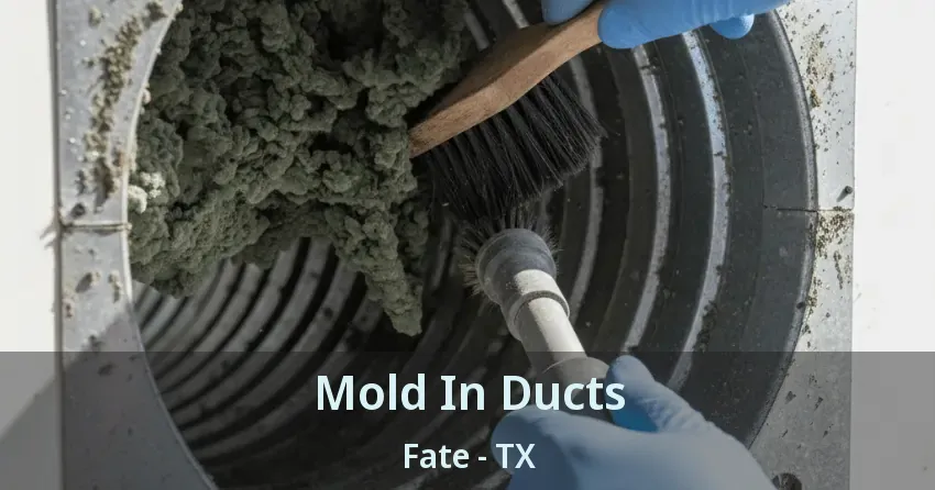 Mold In Ducts Fate - TX