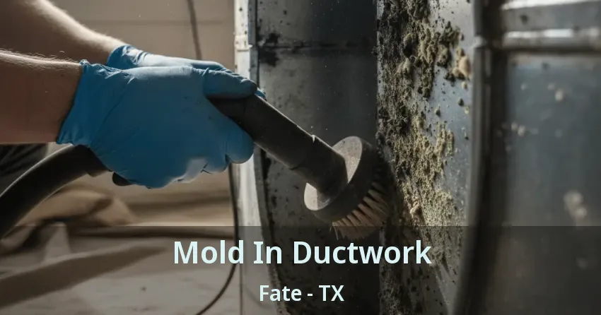 Mold In Ductwork Fate - TX