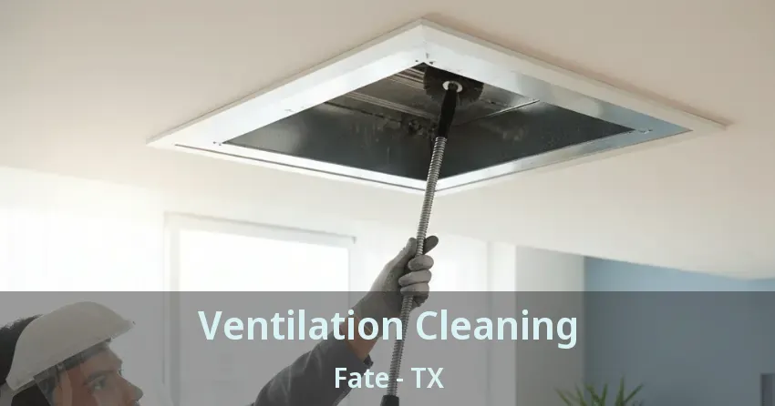 Ventilation Cleaning Fate - TX